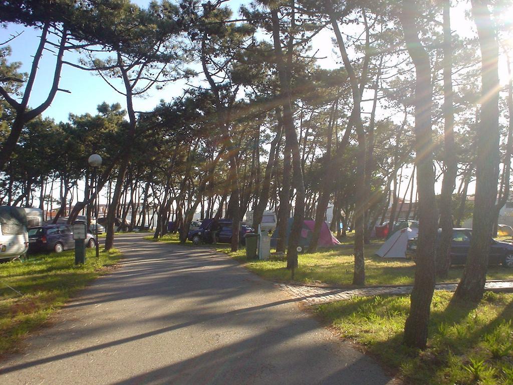 Parque de Campismo da Praia da Barra Gafanha da Nazaré Exterior foto